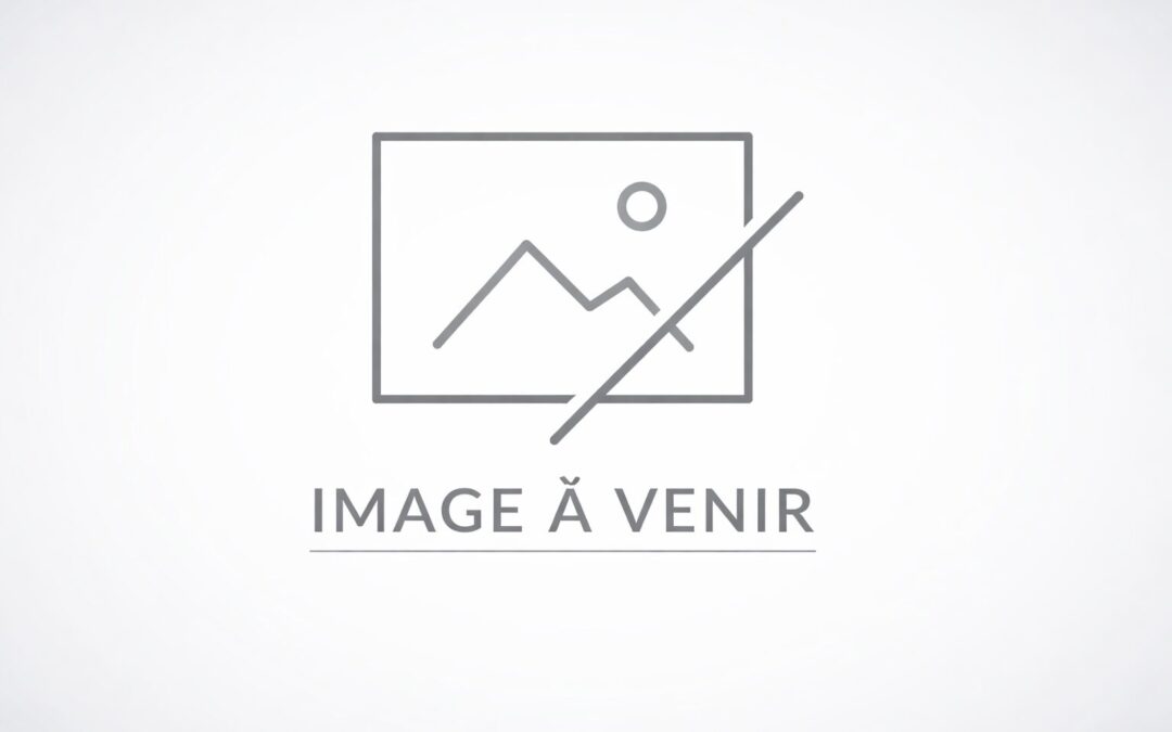 Article 1